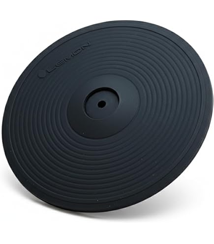 Amazon.com: Roland Crash Cymbal (CY-8), black, 