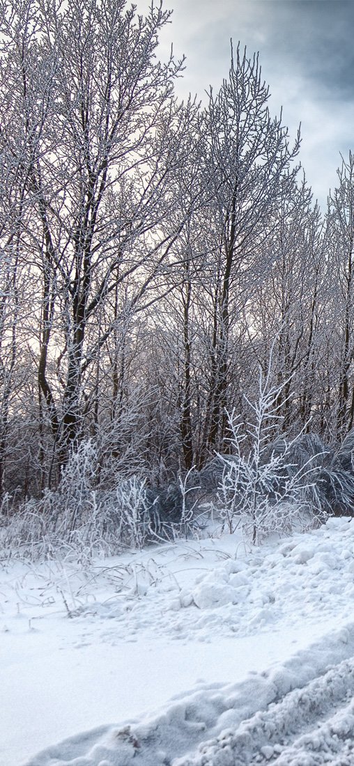 PeelitStickit Mural, Beautiful Nature Wall MuralsID-4214, vinyl