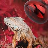 DERNORD 150W Infrared Reptile Heat Lamp Red Basking Spot E27 220-240V view 5