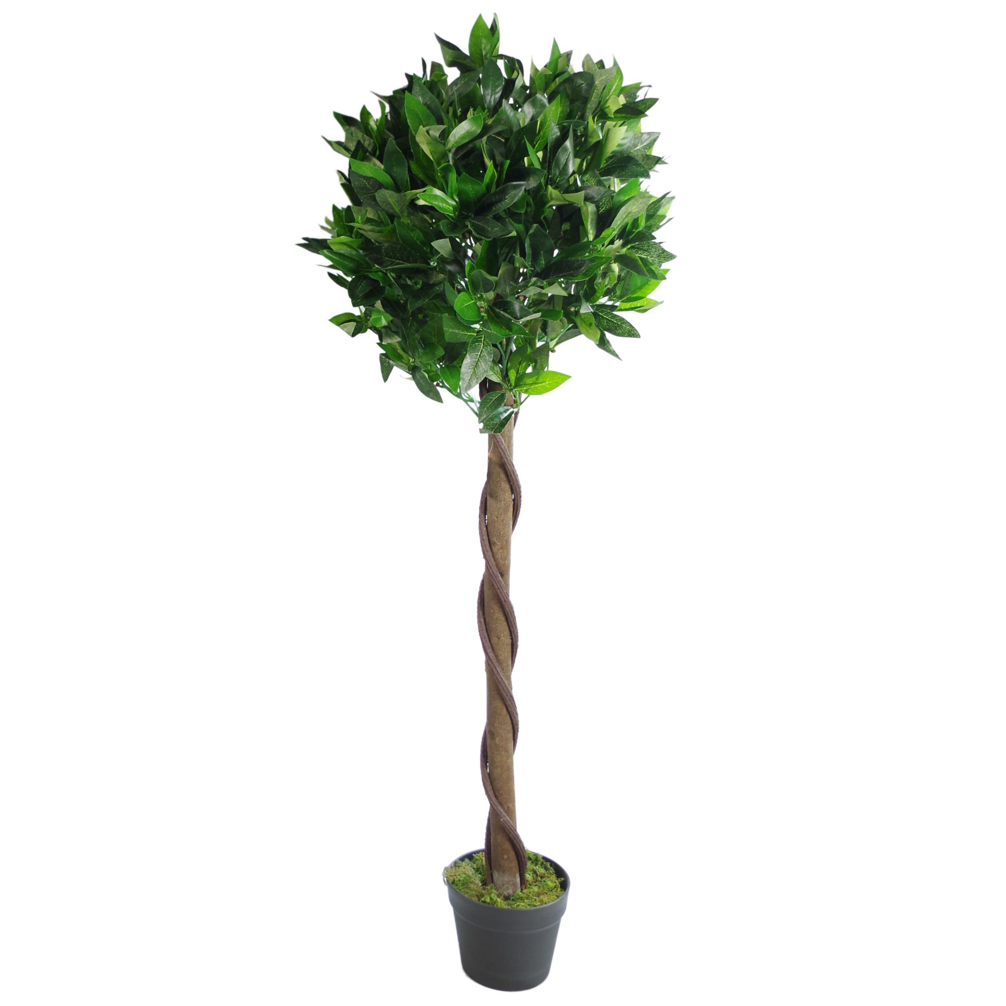 Leaf Design UK Artificial Bay Laurel Topiary Ball Tree, Green Twist, 120cm (4ft)