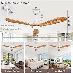 Ceiling Fans with Lights and Remote,60 Inch Unique