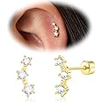 Cartilage Screw Back Earrings for Women, Flat Back Earrings Sterling Silver Hypoallergenic Earrings for Girls Conch Helix Piercing Jewelry Crawler Butterfly Flower Stud Earrings (CZ Cluster, Gold)