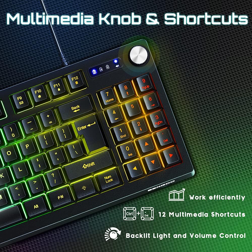 BENGOO Gaming Keyboard, RGB LED Rainbow Backlit Small Gaming Keyboard with 89 Keys and Multimedia Shortcus, Mechanical Feeling Keyboard Wired with 25 Anti-ghosting Keys for Windows Gaming PC Mac: Computers & Accessories