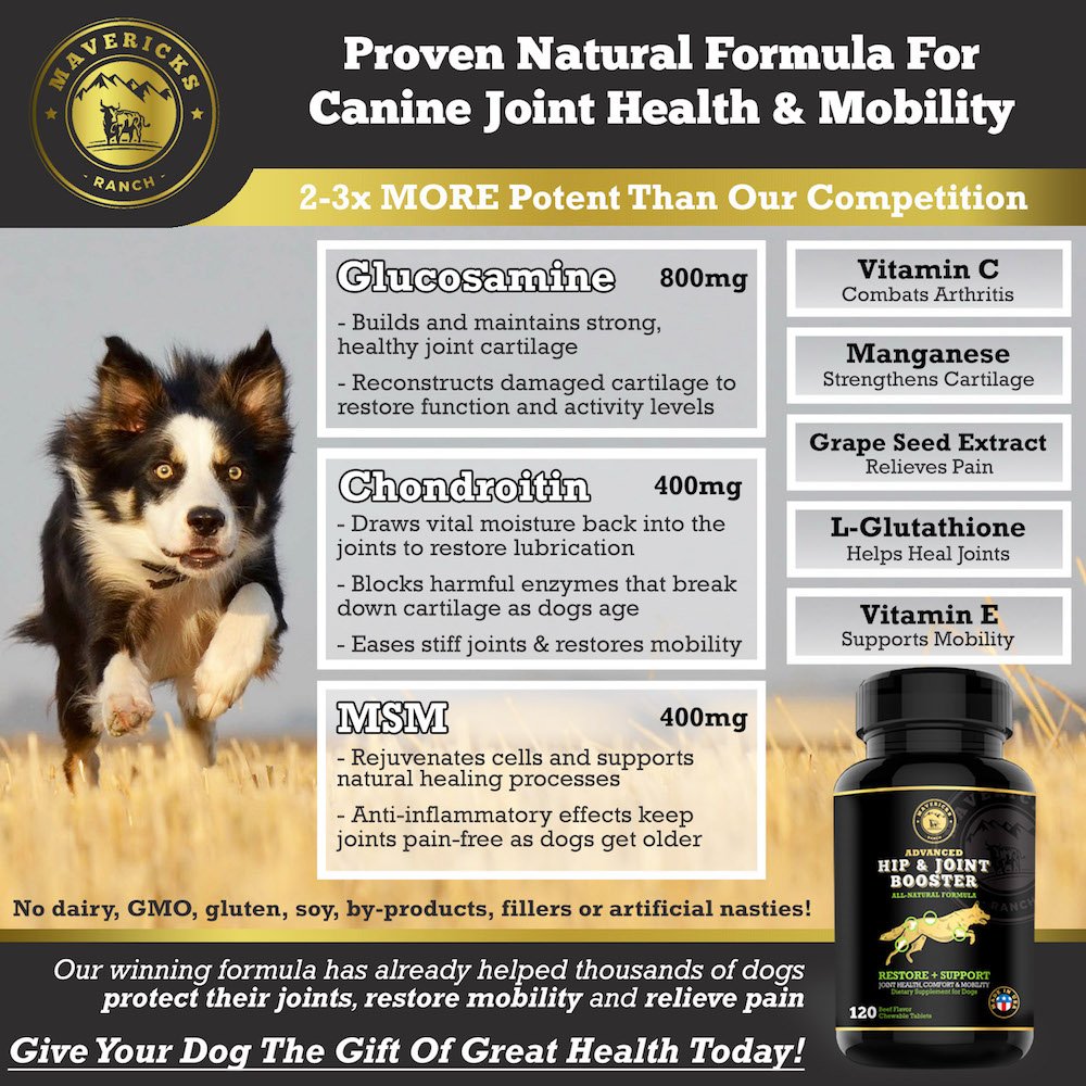Mavericks Ranch Hip and Joint Supplement For Dogs | Best Canine Glucosamine Chondroitin, MSM & Vitamins C & E | 30-120 Day Support | 100% Natural & Made In USA | FDA | Chews Treats