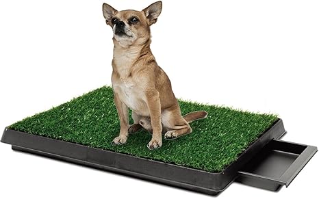 Topiastore Indoor Pet Toilet Dog Grass 