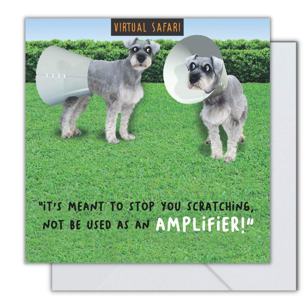 Amplifier, Open, Greetings Card, 163x163mm