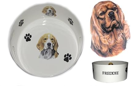 Bb18 Porcelaine Anglaise Personnalisé Ruby Chien Cavalier