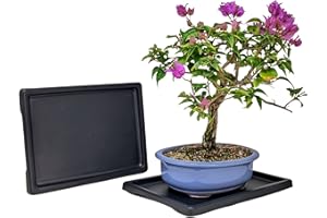 BONSAI OUTLET Tinyroots Bonsai Humidity Tray, 9-Inch Drip Tray, Maintains Moisture for Plants and Helps Protect Furniture, Bonsai Tray for Cactus, Succulents, Bonsai, and Houseplants