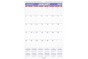 AT-A-GLANCE 2025 Erasable Calendar, Dry Erase Wall Planner, 12" x 17", Small (PMLM022825)