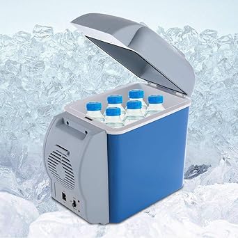 portable cooler warmer 12v