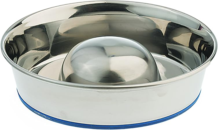 stainless steel slow feeder bowl