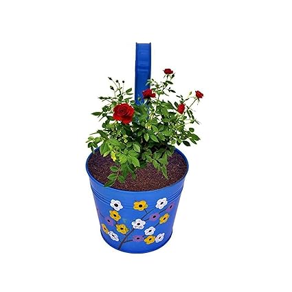 Pepper Agro 7 inch Round Metal Hanging Planter | Blue Color Flower Design Ralling Planter