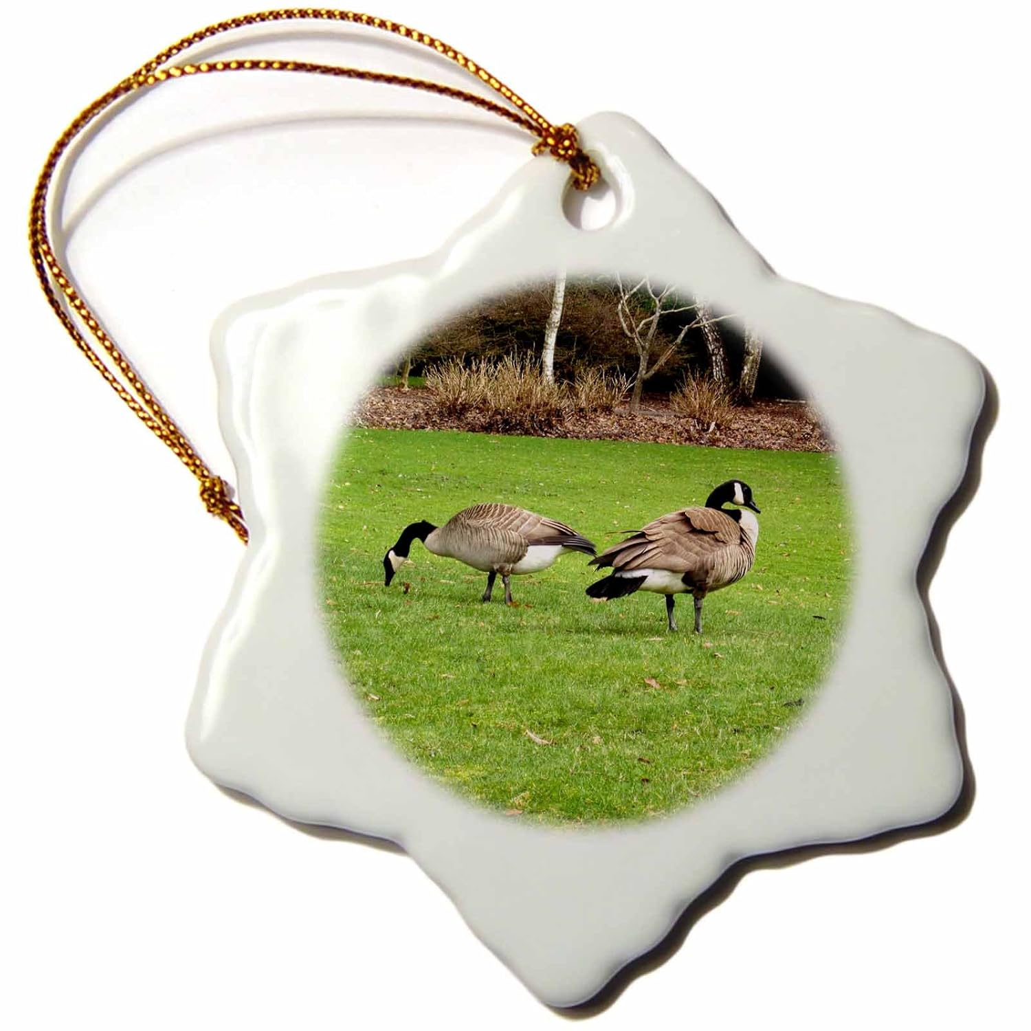 Best Canadian Geese Lawn Ornaments