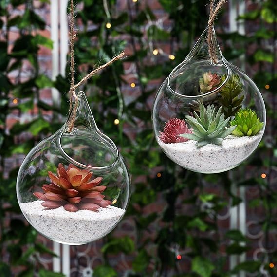 MyGift Set of 2 Decorative Clear Glass Globe/Hanging Air Plant