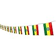 Ethiopia Flag Ethiopian Flag,100Feet/76Pcs National Country World Pennant Flags Banner,Party Decorations Supplies For,Bar,Indoor and outdoor flags,International Festival
