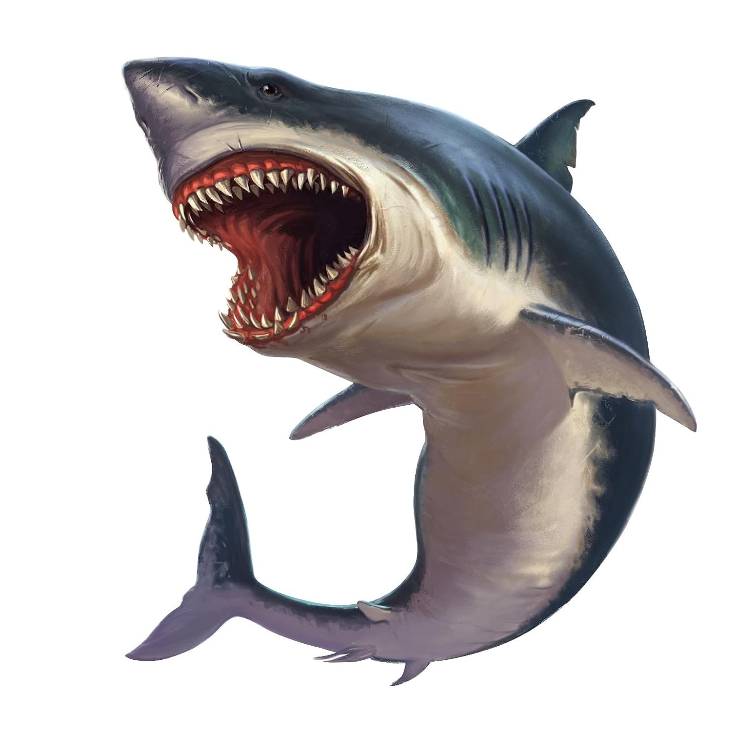 Shark Week, Shark, Shark Wall Decal, Megalodon Shark, Under The Sea, Nursery Decor, Ocean, Animal, Home Decor 12"