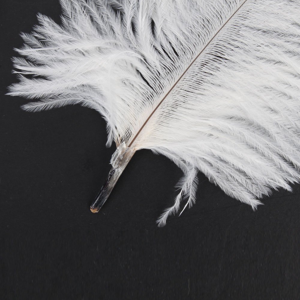 50 x White Ostrich Feathers (1520 CM) Buy Online in UAE. Home