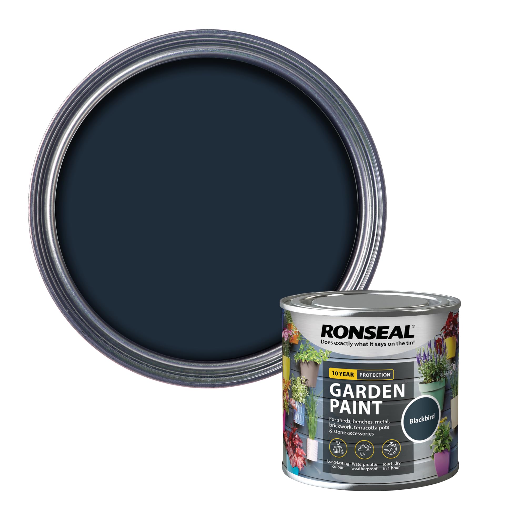 Ronseal RSLGPBLKB250 GPBLKB250 Garden Paint Black Bird 250ml, 250 ml