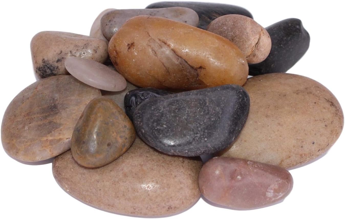 Exotic | Polished Mixed Pebbles | 20 Pound Bag | 3/4-1 1/4 Inch Pebble Size | Perfect for Landscaping, Flower Arrangements and Potted Plants : Garden & Outdoor