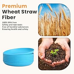 Homienly Wheat Straw Plates, 10 inch Deep Dinner