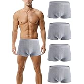 Hoerev Pack of 4 Mens Super Soft And Comfortable Fiber Briefs Trunks Underwear