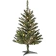 National Tree Company Artificial Mini Christmas Tree, Green, Kingswood Fir, Includes Stand, 3 Feet