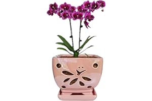 Grdthzey Orchid Pots with Holes Square Ceramic Orchid Planter Pots 5.5 inch (Pink)