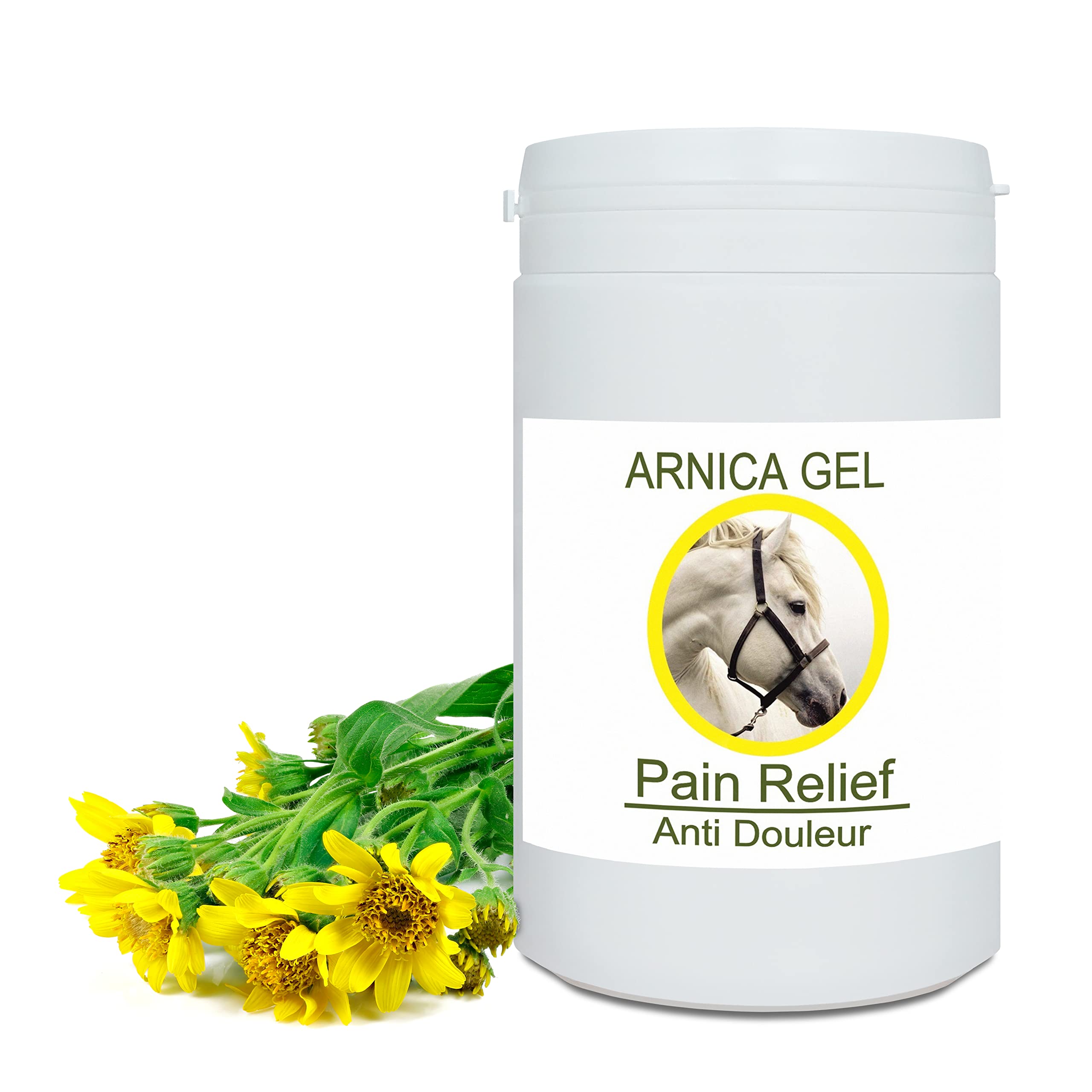 Vet 90% Arnica Gel Forte for Horses & Pet Care (Dogs, Cats) Muscle & Joint Pain Relief. Pure & Natural Arnica Balm for Bruises & Swelling of the Horse. Muscle Massage Gel 1000 g