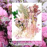 iDattel Dried Flowers Set for Arts & Crafts, Light Pink, DIY Jewelry view 2