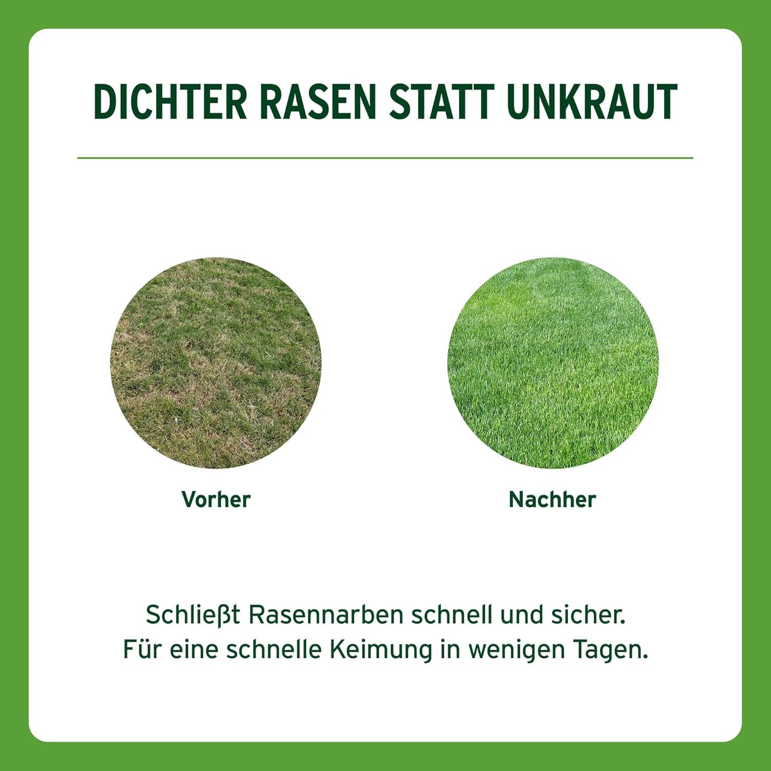 Substral Rasensamen Sport und Spiel, 2kg für 100m² - strapazierfähige Rasensaat-Mischung mit Grünfärbung gegen Vogelfraß 4