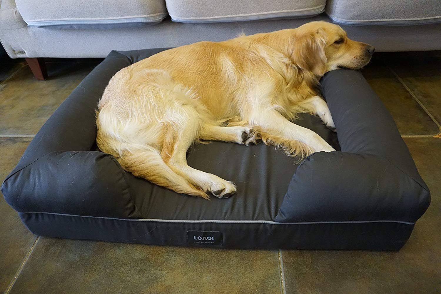 LOAOL Memory Foam Dog Bed Durable Waterproof Pet Sofa Couch with Bolster Orthopedic Cat Lounger Removable Cover (L, Woven Gray) : Pet Supplies