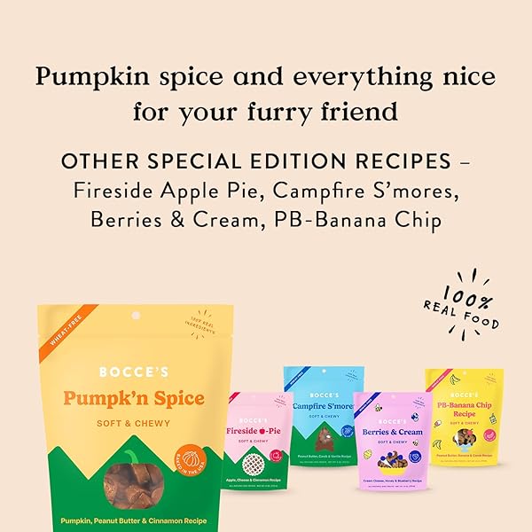 BOCCE’S BAKERY PUMPK’N SPICE TREATS FOR DOGS, WHEAT-FREE EVERYDAY DOG TREATS, MADE WITH REAL INGREDIENTS, BAKED IN THE USA, ALL-NATURAL SOFT & CHEWY COOKIES, PUMPKIN, PEANUT BUTTER, & CINNAMON, 6 OZ