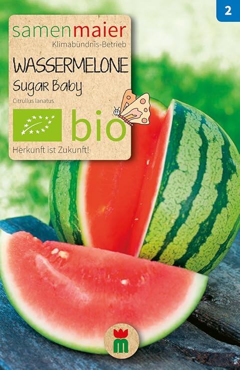 Wassermelone Sugar Baby | Bio-Wassermelonensamen