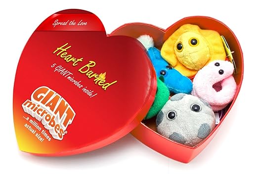 daniel tiger peluche parlante