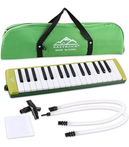 Amazon.com: Suzuki Melodica, red (M-37C plus) : Musical Instruments