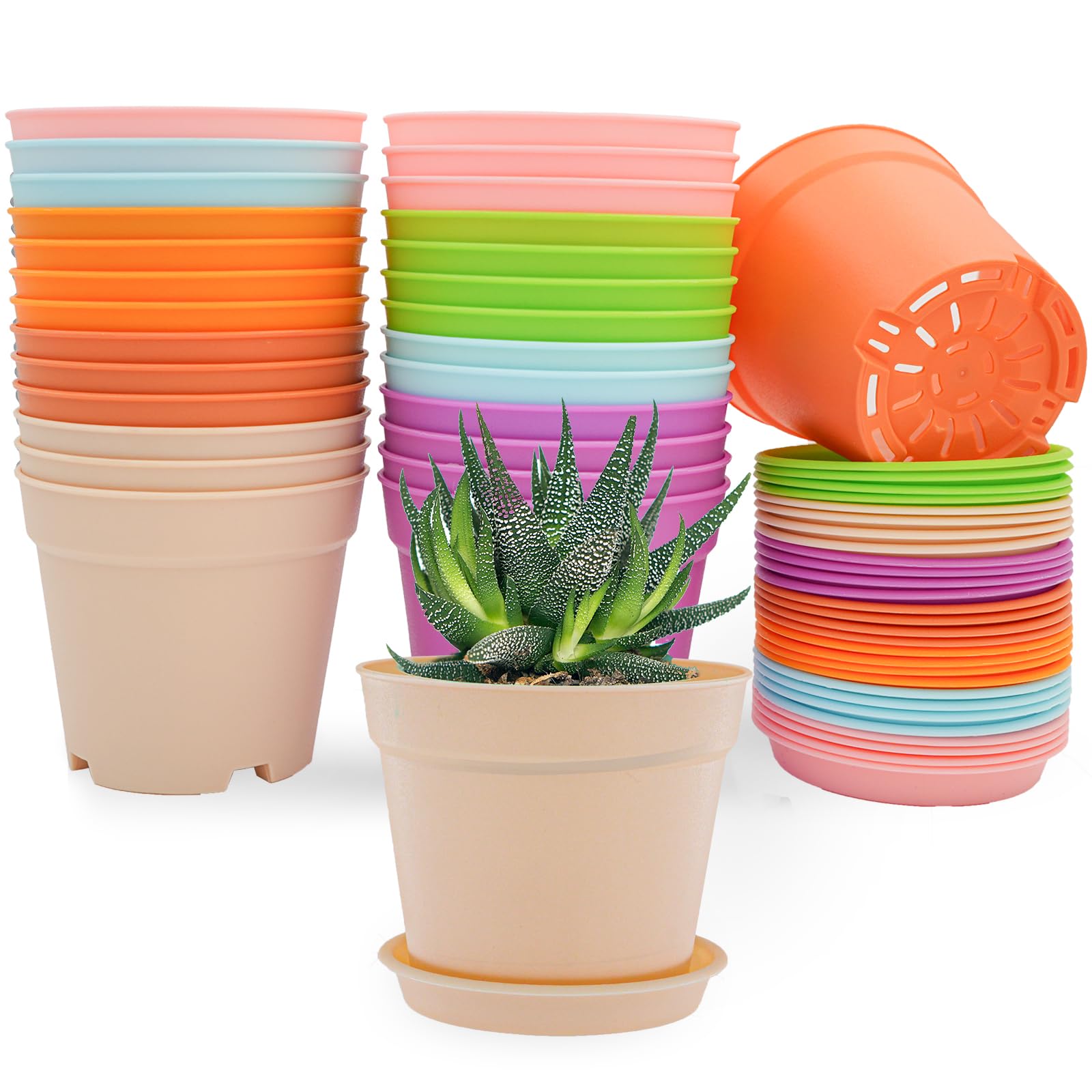 Photo 1 of SwinDuck 4 inch Plant Pots, 28 Pack Small Plastic Planters with Drainage Holes and Saucers for Flowers Plants, Succulents, Seed Starting Pots, Colorful