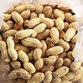 C.J. Dannemiller Peanuts in the Shell, Bulk 10 LB Box, Fancy Size, Roasted, Salted