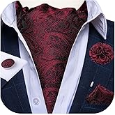 DiBanGu Mens Silk Ascot Ties Paisley Jacquard Woven Cravat and Pocket Square Cufflinks with Lapel Pin for Business Wedding