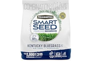 Pennington Smart Seed Kentucky Blue Grass Mix 3 lb