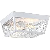 Westinghouse Peterson 12-Inch Outdoor Surface Mount Ceiling Fixture, Matte White Finish with Clear Water Glass