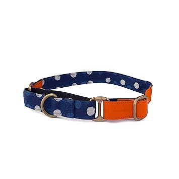 PetWale Orange with Blue Dog Martingale Collar - (Size : Medium)