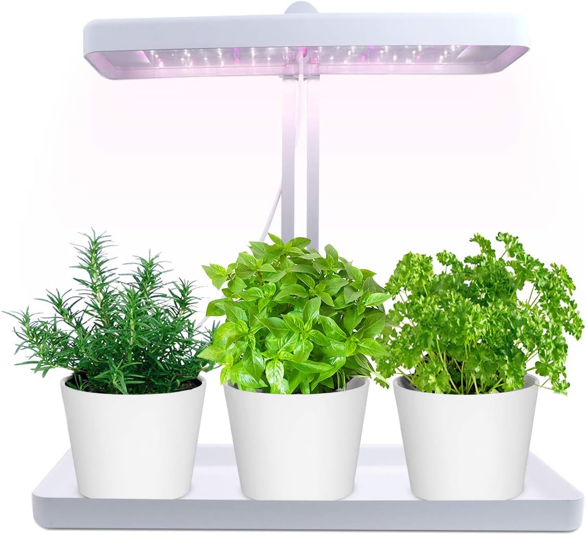 Best Herb Garden Starter Kit Indoor Tea