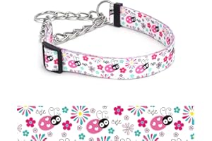 haoyueer Martingale Dog Collar - Stainless Steel Chain, No Pull Training Collar with Flower Design for Large Medium Small Dogs (19, M)