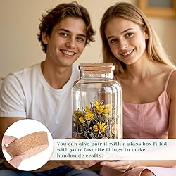 2pcs Large Cork Stoppers for Jars Cork Lids for