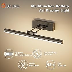 JUSHENG Battery Operated Picture Light with Remote