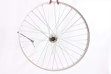 559x19 bike rim