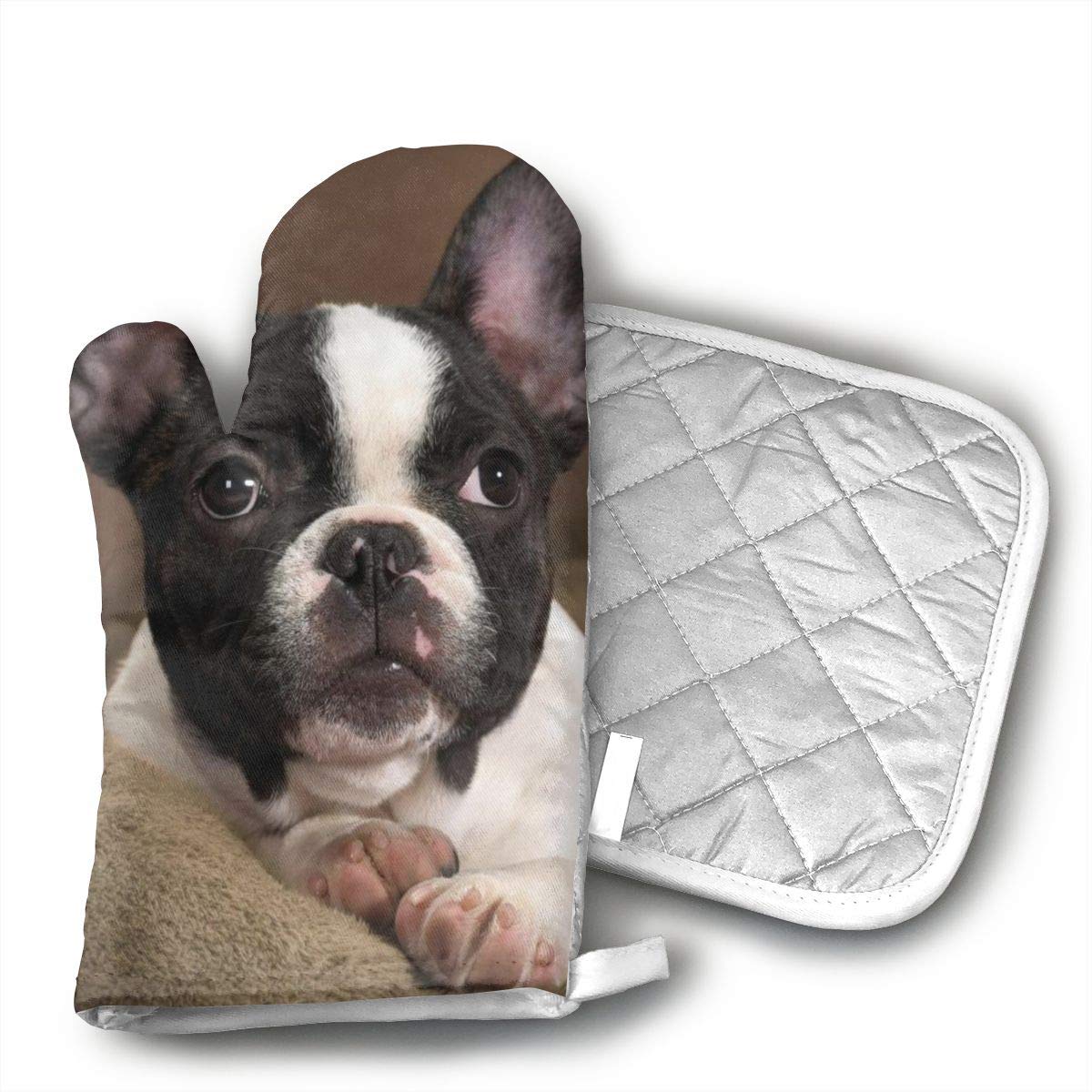 The 10 Best Boston Terrier Oven Mitt