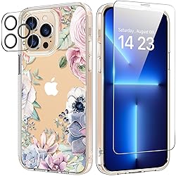 bicol for iPhone 13 Pro Max Case with Screen and