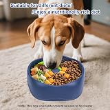 CAISHOW Slow Feeder Dog Bowl Interactive Puzzle for Small & Medium Dogs view 6
