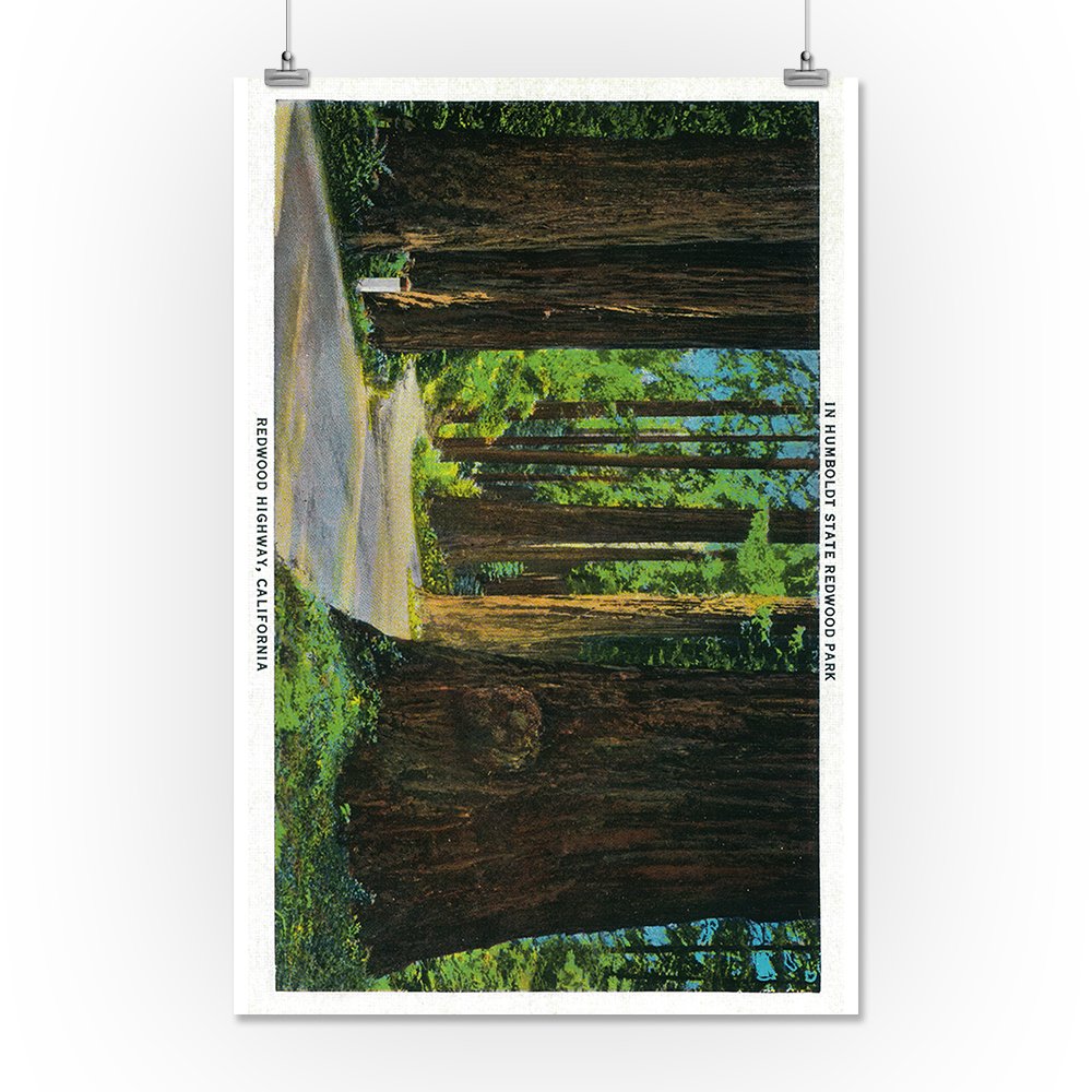 Amazon Com Redwood Highway In Humboldt State Redwood Park 16x24